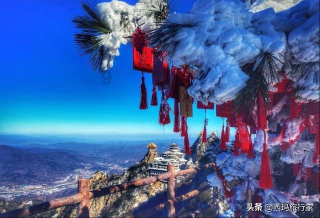 游泳职业运动员相比较其他职业运动员，身体素质会不会好一点？